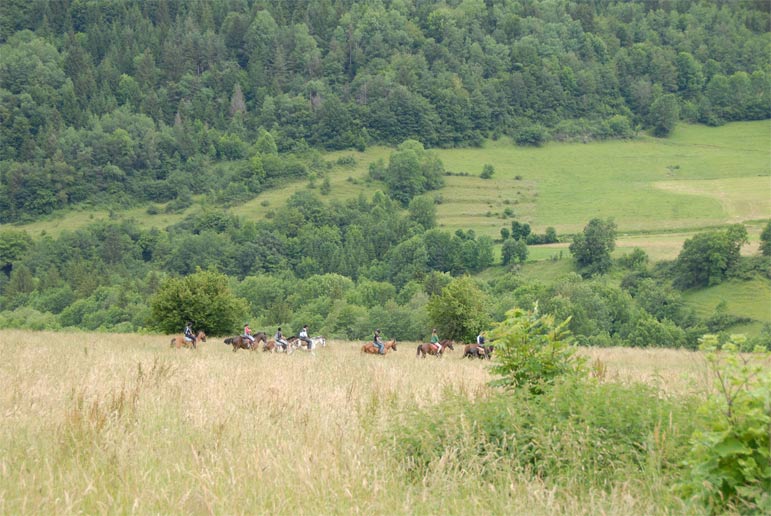 Randonnées à cheval.